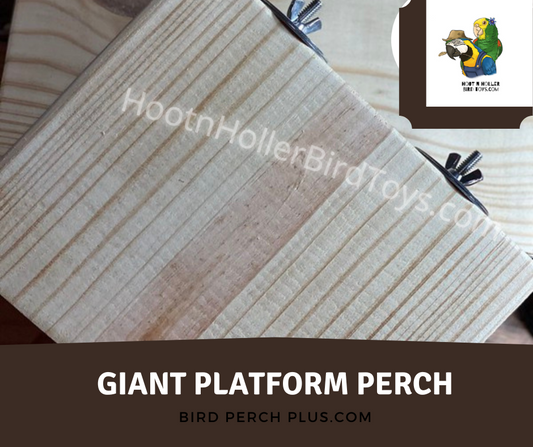 Giant Platform Perch | Macaws | Cockatoos